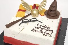 Torta-Hari-Poter-i-Sreda-Adams-3-scaled