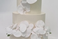 Torta-Mladenacka-5
