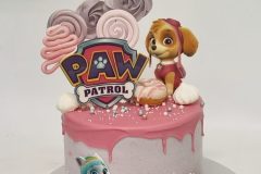 Torta-Patrolne-sape-1-scaled