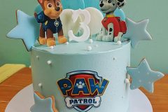 Torta-Patrolne-sape-10-scaled