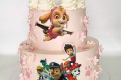 Torta-Patrolne-sape-5-scaled