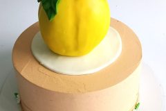 Torta-Razno-29-scaled
