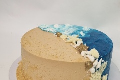 Torta-Razno-8