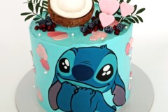 Torta-Stic-20