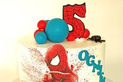 Torta-Super-junaci-13-scaled