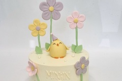 Torta-na-zivotinje-26