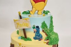 Torta-Vini-Pu-1-scaled