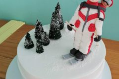 Torta-Zimska-i-novogodisnja-11-scaled