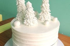 Torta-Zimska-i-novogodisnja-19-scaled