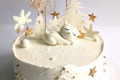Torta-Zimska-i-novogodisnja-27-scaled